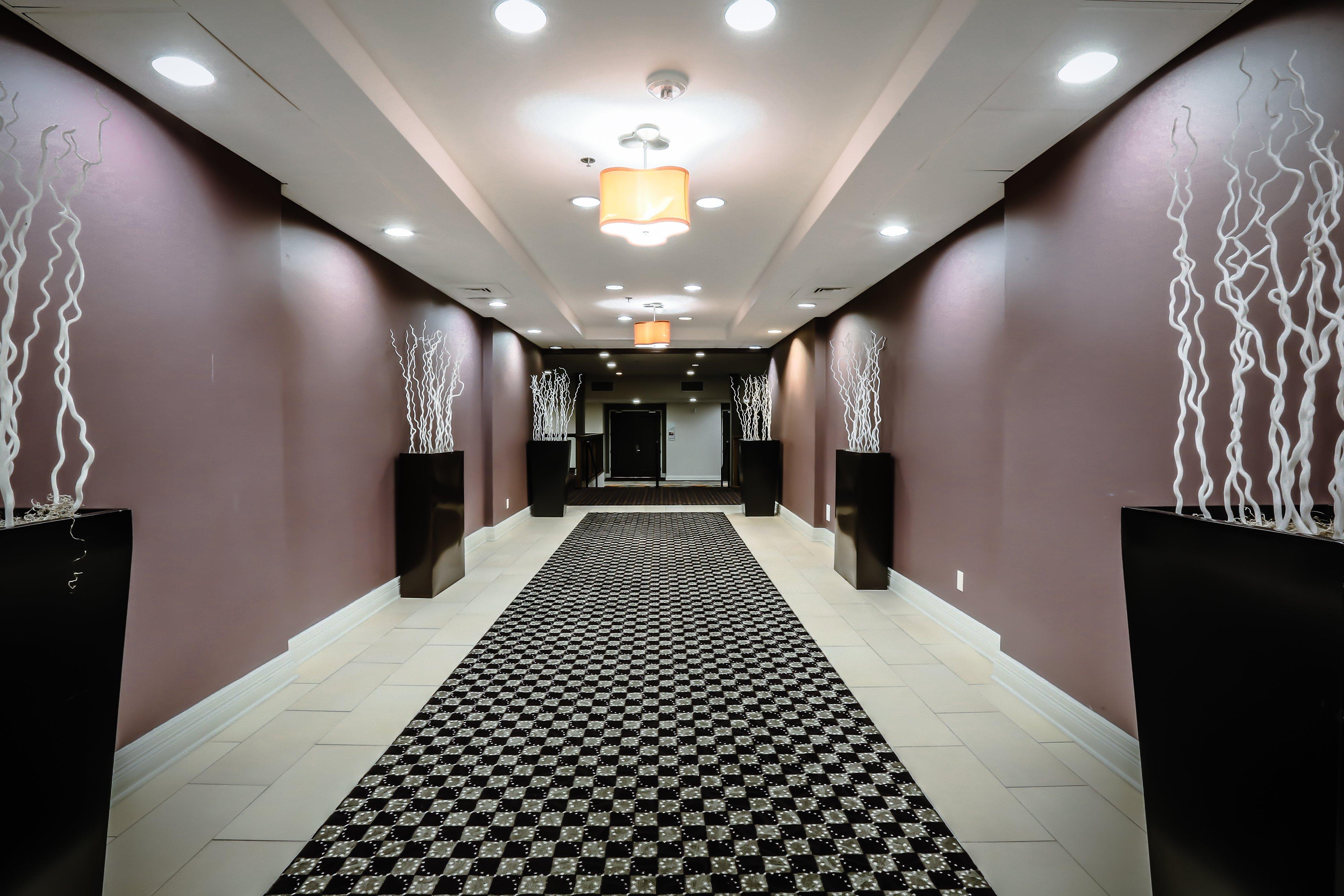 Holiday Inn Austin Midtown By Ihg Екстериор снимка